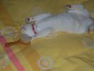 post-4-1171217666_thumb.jpg
