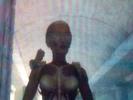 post-6837-1182269836_thumb.jpg